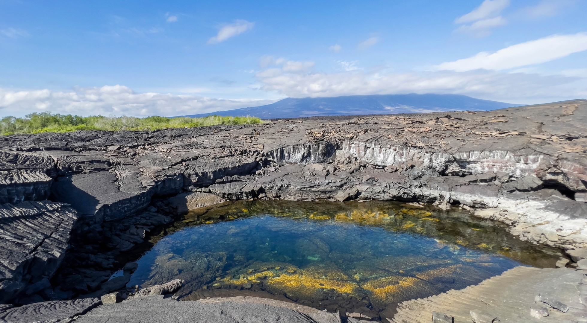Galapagos Islands Fernandina Island