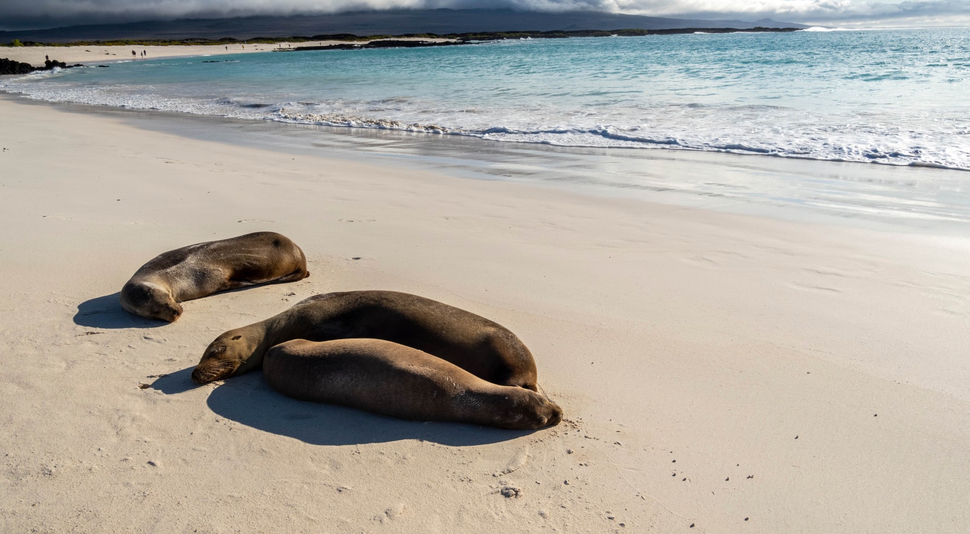 Galapagos Islands San Cristobal Island